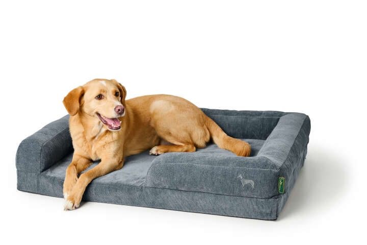 HUNTER Orthopädisches Hunde-Sofa Melun